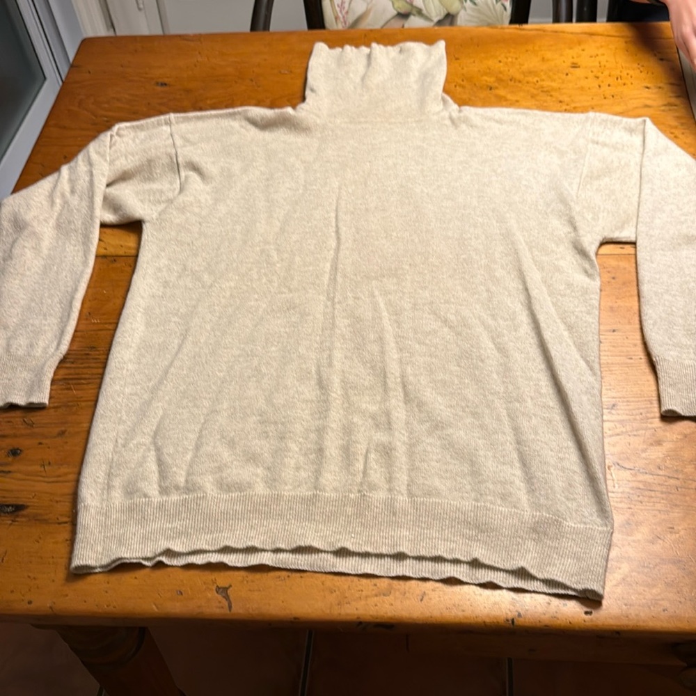 TSE 100 Percent cashmere sweater